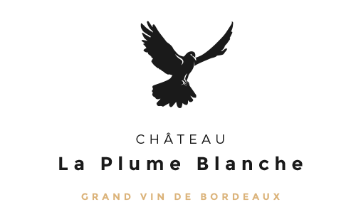 Vignoble Libourne - Vignoble Cahors - Chateau La Plume Blanche